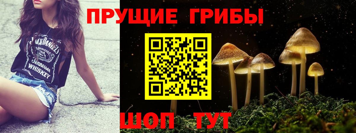 Нижний Новгород  Псилоцибиновые грибы Psilocybe  Вход с VPN 