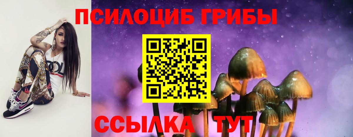 Псилоцибиновые грибы Magic Shrooms Нижний Новгород